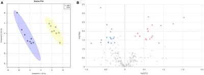 Alteration of the Canine Metabolome After a 3-Week Supplementation of Cannabidiol (CBD) Containing Treats: An Exploratory Study of Healthy Animals